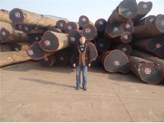 上海洪煌木業(yè)閔行經(jīng)營部 專業(yè)木材銷售，精選全球優(yōu)質(zhì)木材