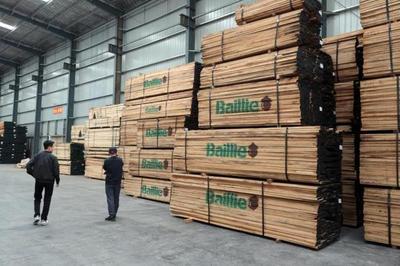 木材價格飆升下的產業陣痛 青島工廠無奈轉讓折射行業困境