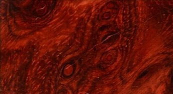 一站式木材與服裝服飾批發平臺 中木商網的多元化供應鏈服務