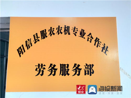 合作社里的新引擎 陽信流坡塢鎮(zhèn)組建勞務(wù)服務(wù)部，鋪就家門口的就業(yè)路